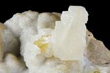 Calcite Crystals After Calcite on Druzy Quartz - Missouri #122123-1